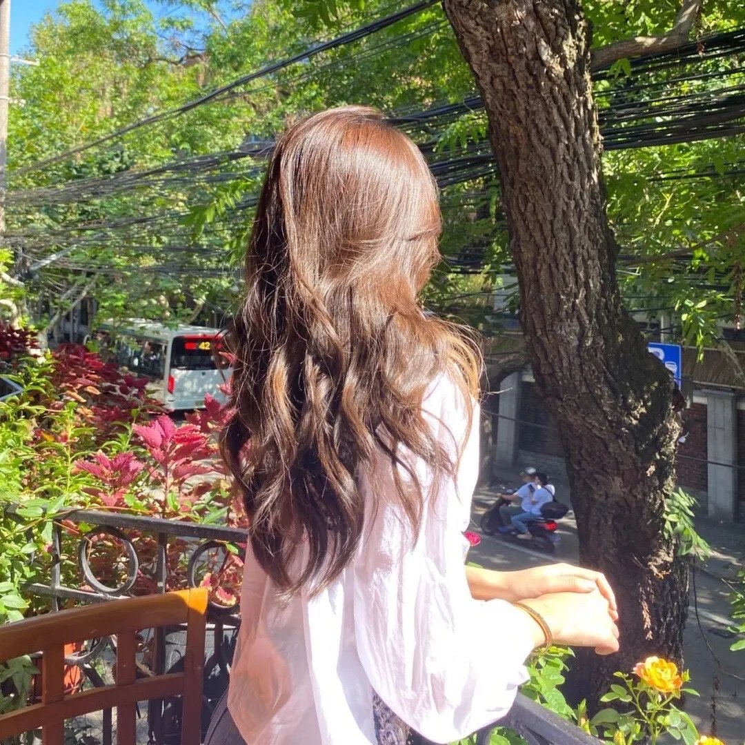 安妮·雪莉