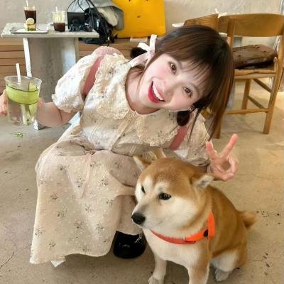 贵妃生存法则第二季